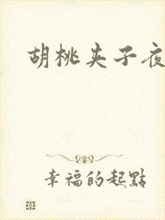 胡桃夹子夜未眠