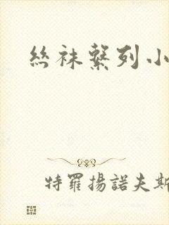 丝袜系列小说