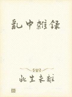 乱中杂录