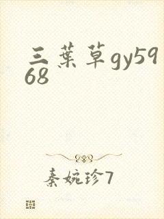 三叶草gy5968