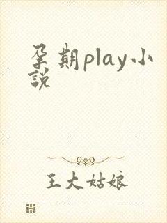 孕期play小说