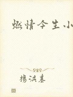 燃情今生小说