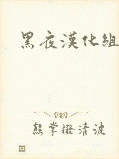 黑夜汉化组