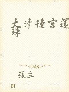 大清后宫还君明珠