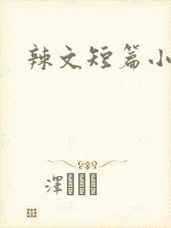 辣文短篇小说
