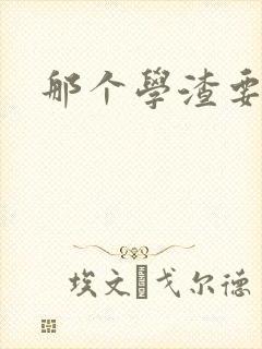 那个学渣要上天封面