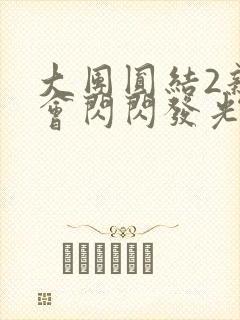 大团圆结2亲情会闪闪发光亲情会2