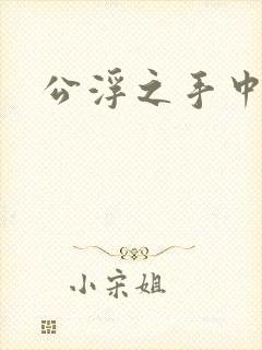 公浮之手中字5封面