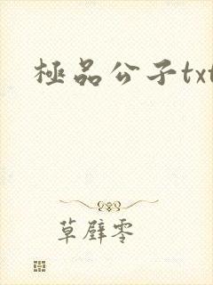 极品公子txt
