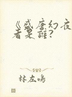 《盛唐幻夜》作者是谁?封面