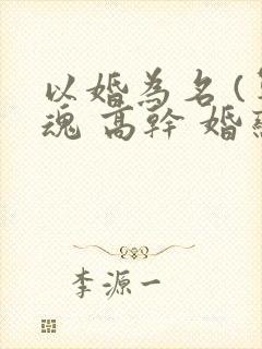 以婚为名 (军魂 高干 婚恋)