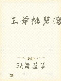 王爷桃儿泻了