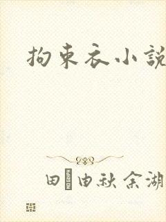 拘束衣小说