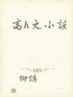 高h文小说