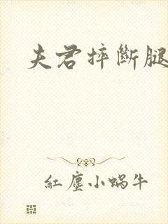 夫君摔断腿后