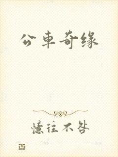 公车奇缘封面