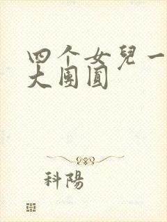 四个女儿一锅烩大团圆封面