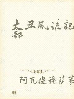 大丑风流记第二部封面