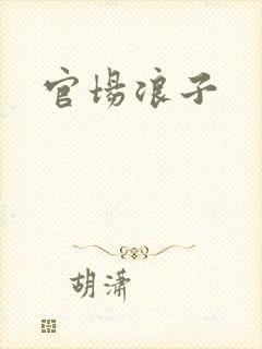 官场浪子封面