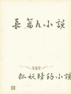 长篇h小说封面