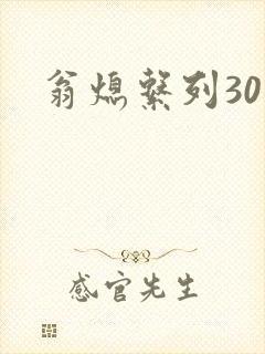 翁熄系列30部