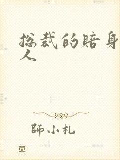总裁的赔身小情人封面