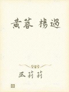 黄蓉 杨过