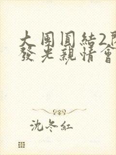 大团圆结2闪闪发光亲情会