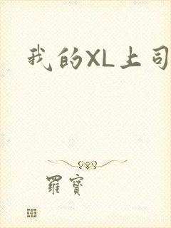 我的XL上司封面