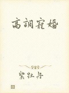 高调宠婚封面