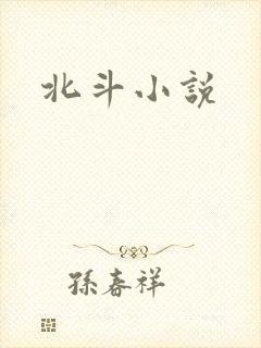 北斗小说封面