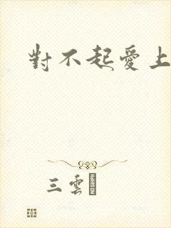 对不起爱上你封面