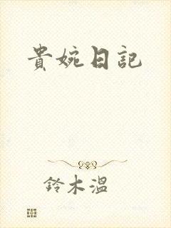 贵婉日记封面