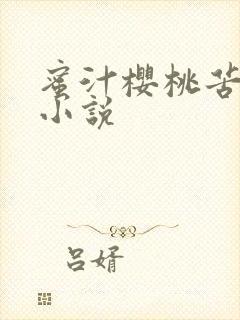 蜜汁樱桃苦咖啡小说封面