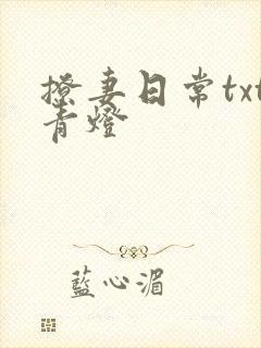 撩妻日常txt青灯