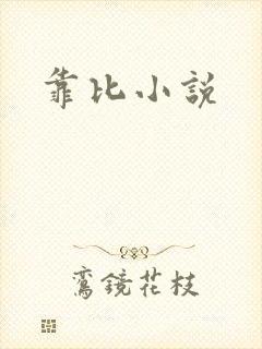 靠比小说