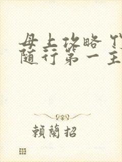 母上攻略 竹影随行第一主板封面
