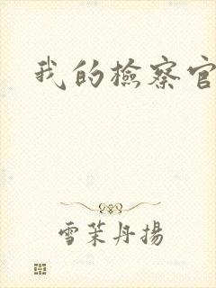 我的检察官先生