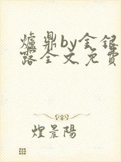 炉鼎by金银花露全文免费阅读笔趣阁