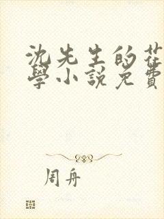 沈先生的花式教学小说免费