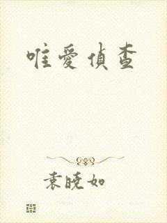 唯爱侦查