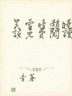 吴雪晴赵晓东小说免费阅读封面