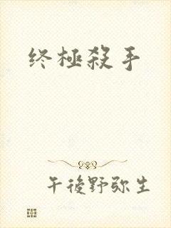 终极杀手封面