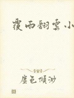 覆雨翻云小说