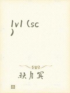 1v1 (sc)