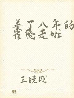 养了八年的金丝雀飞走啦
