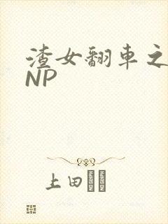 渣女翻车之后 NP封面