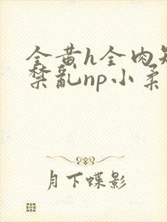 全黄h全肉短篇禁乱np小柔