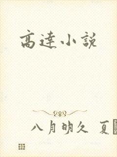 高达小说