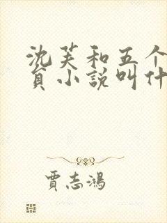 沈芙和五个消防员小说叫什么封面